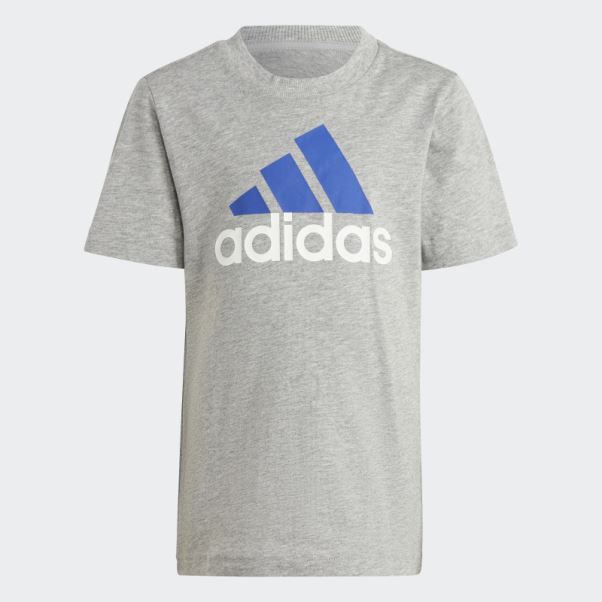 Ensemble T-shirt Et Short Logo Essentials Gris Moyen Adidas