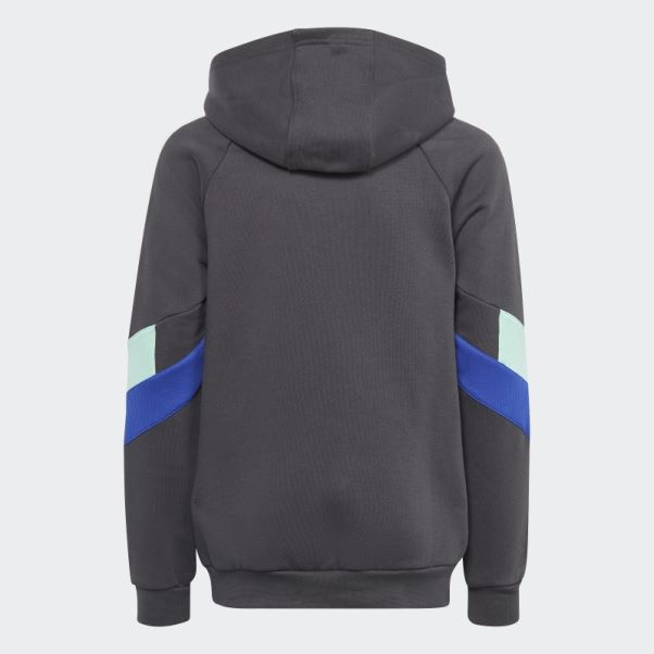 Adidas Rekive Sweat à Capuche Hot Carbon