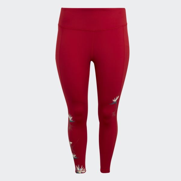 Legging Adidas Thebe Magugu 7/8 Studio Rouge (grande Taille)