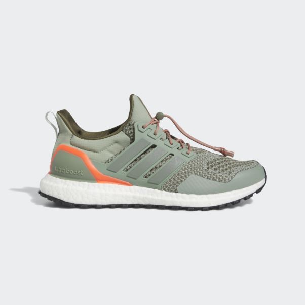 Chaussures Ultraboost 1.0 Argent Vert Adidas