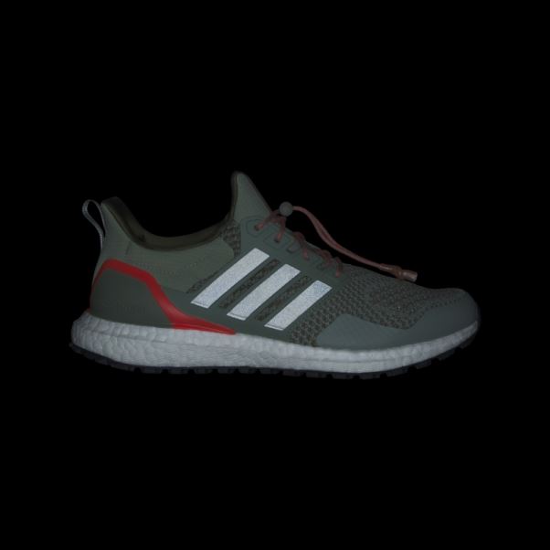Chaussures Ultraboost 1.0 Argent Vert Adidas