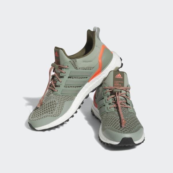 Chaussures Ultraboost 1.0 Argent Vert Adidas