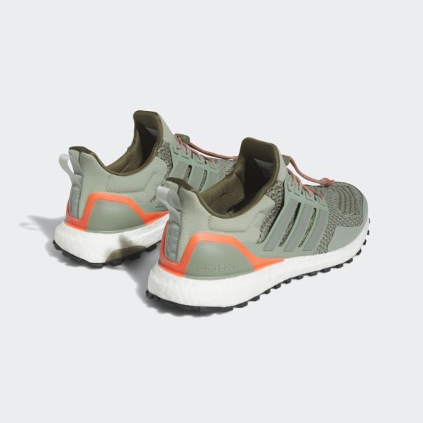 Chaussures Ultraboost 1.0 Argent Vert Adidas
