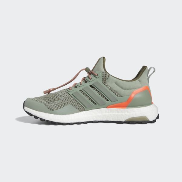 Chaussures Ultraboost 1.0 Argent Vert Adidas