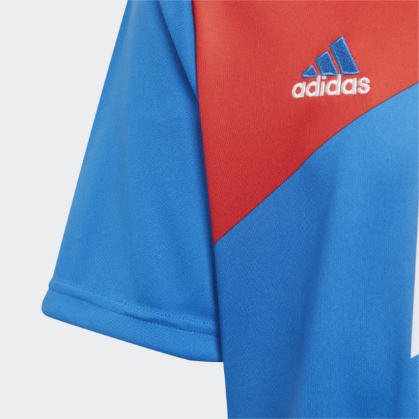 Maillot Pré-match Adidas Fc Bayern Rouge