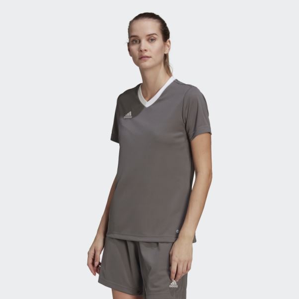 Maillot Adidas Entrada 22 Gris