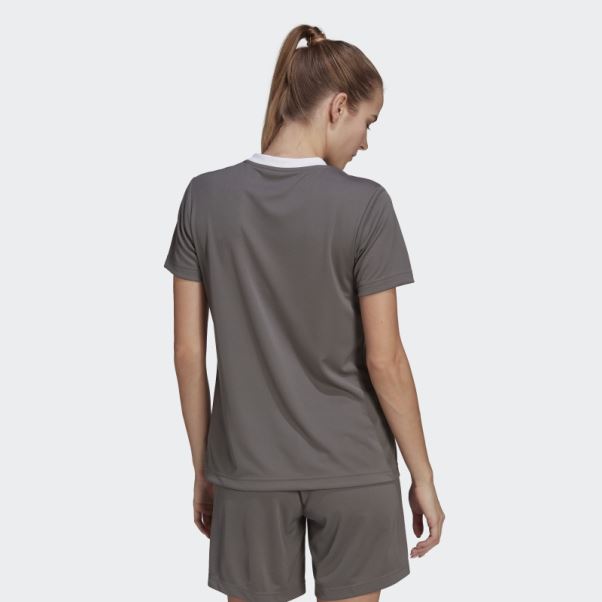 Maillot Adidas Entrada 22 Gris