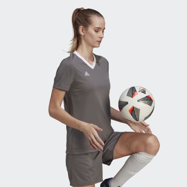 Maillot Adidas Entrada 22 Gris