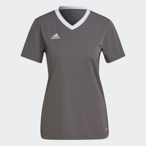 Maillot Adidas Entrada 22 Gris