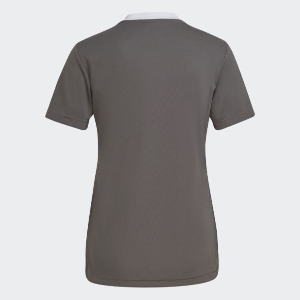 Maillot Adidas Entrada 22 Gris