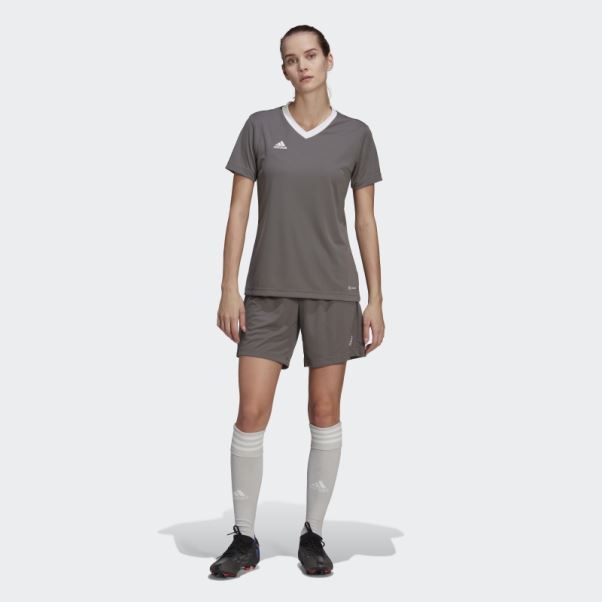 Maillot Adidas Entrada 22 Gris