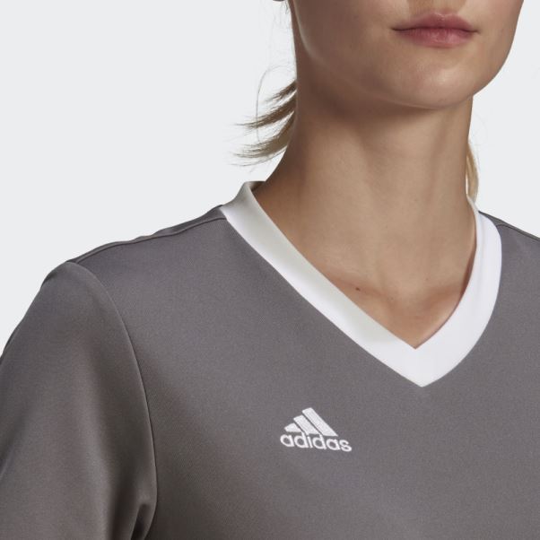 Maillot Adidas Entrada 22 Gris
