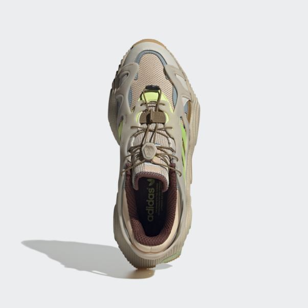 Adidas Blush Roverend Chaussures D'aventure