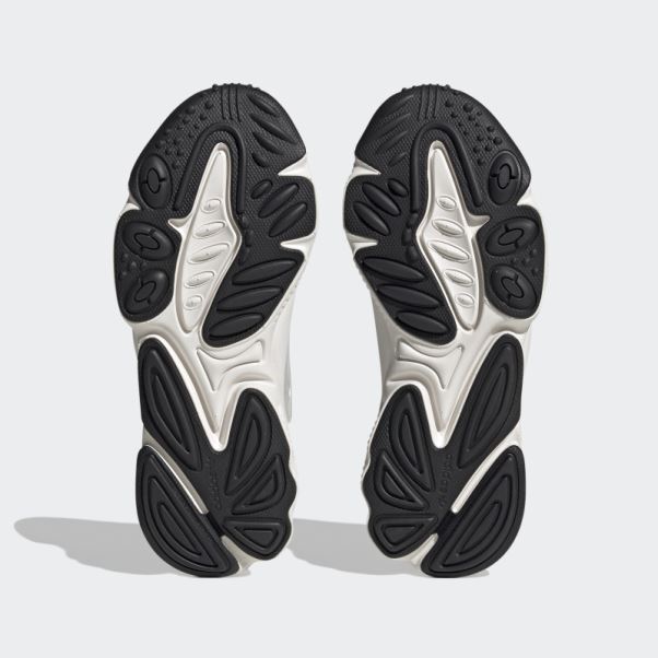 Chaussures Adidas Oztral Blanches