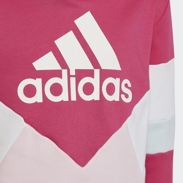 Sweat à Capuche En Molleton Color Block Magenta Real Adidas