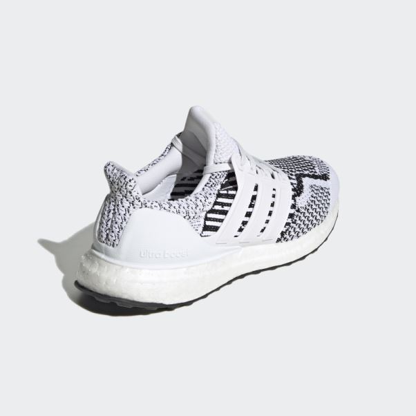 Adidas Ultraboost 5.0 Dna Primeblue Chaussures Blanc