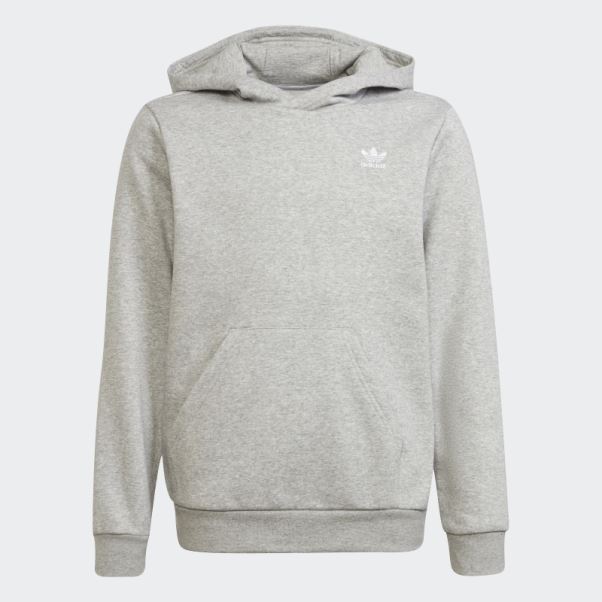Sweat à Capuche Adicolor Gris Moyen Adidas