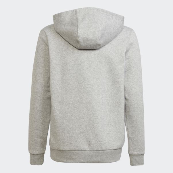 Sweat à Capuche Adicolor Gris Moyen Adidas
