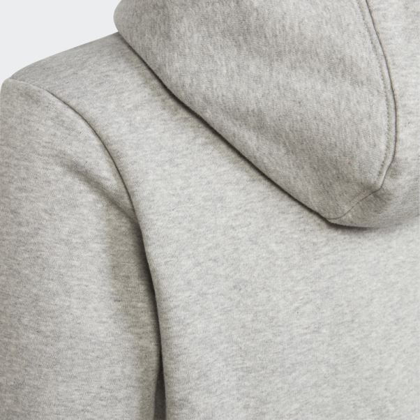 Sweat à Capuche Adicolor Gris Moyen Adidas