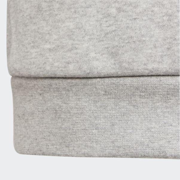 Sweat à Capuche Adicolor Gris Moyen Adidas