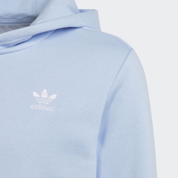 Adicolor Bleu Aube Sweat à Capuche Adidas