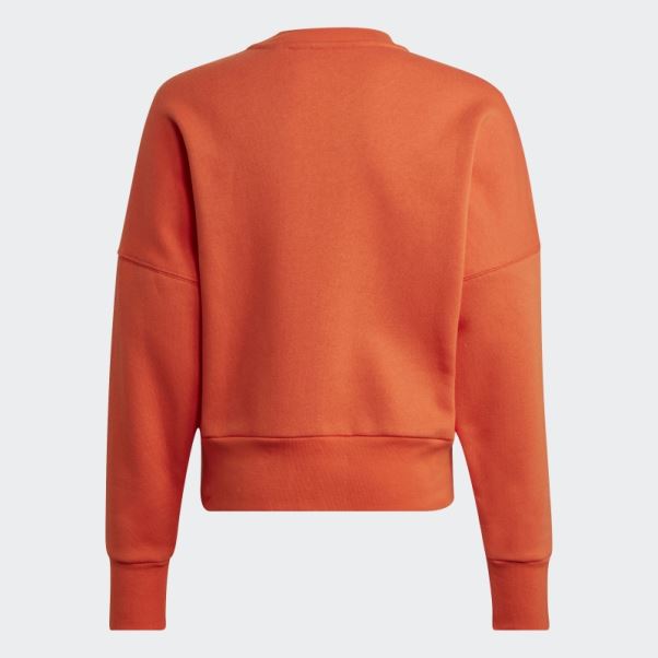 Sweat Adidas Marimekko Orange