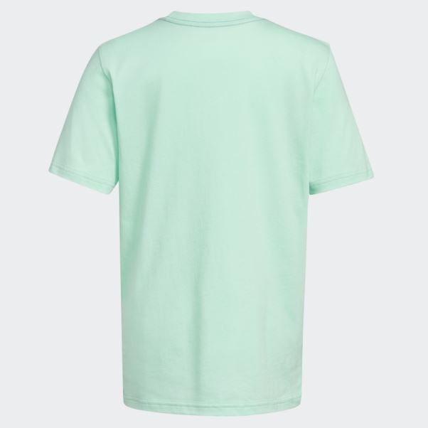 écusson Bicolore De Sport Tee Adidas Vert