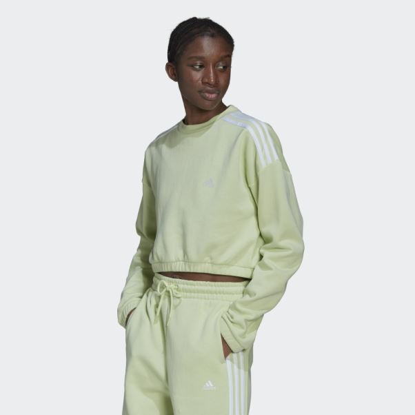 Sweat Ras Du Cou Adidas Citron Vert Hyperglam