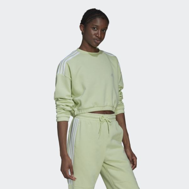 Sweat Ras Du Cou Adidas Citron Vert Hyperglam