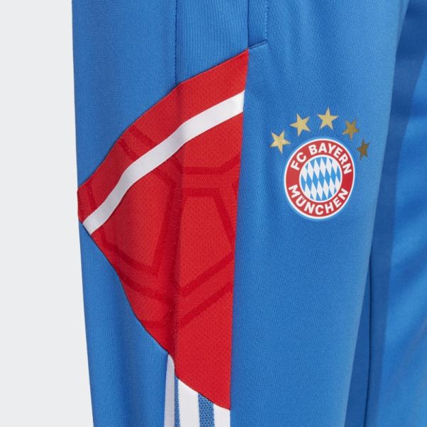 Pantalon De Survêtement D'entraînement Adidas Royal Fc Bayern Condivo 22 élégant