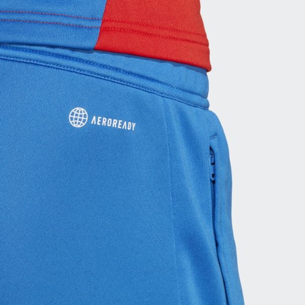 Pantalon De Survêtement D'entraînement Adidas Royal Fc Bayern Condivo 22 élégant