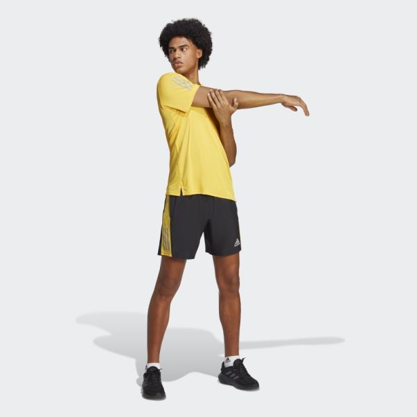 Adidas Possède Le Short De Course Or