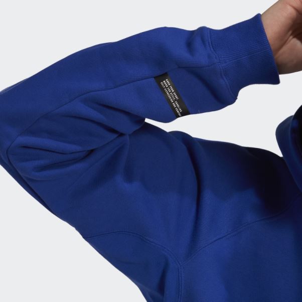 Adidas Sweat à Capuche Polaire Bleu