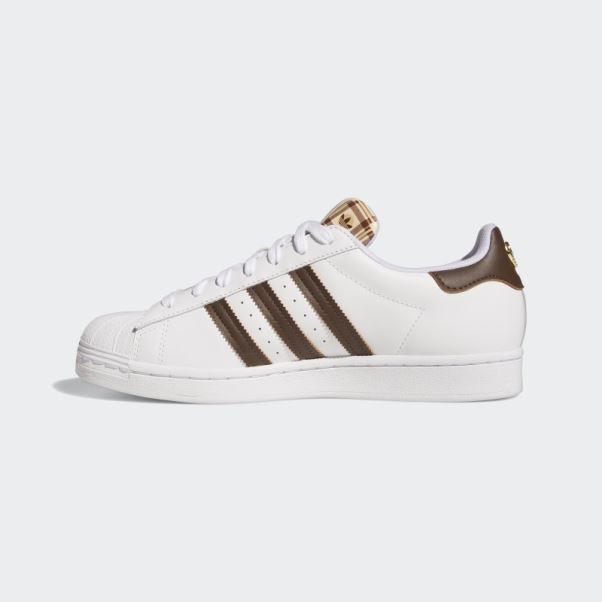Adidas Superstar Marron