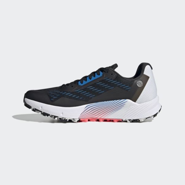 Adidas Terrex Agravic Flow 2 Chaussures De Course Sur Sentier Bleu Rush