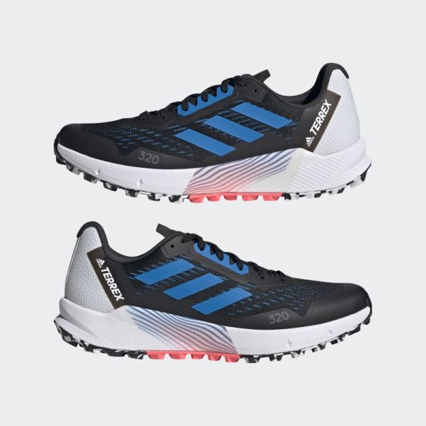 Adidas Terrex Agravic Flow 2 Chaussures De Course Sur Sentier Bleu Rush