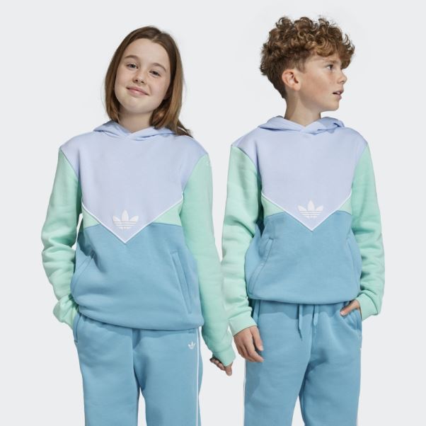 Sweat à Capuche Adidas Adicolor Bleu