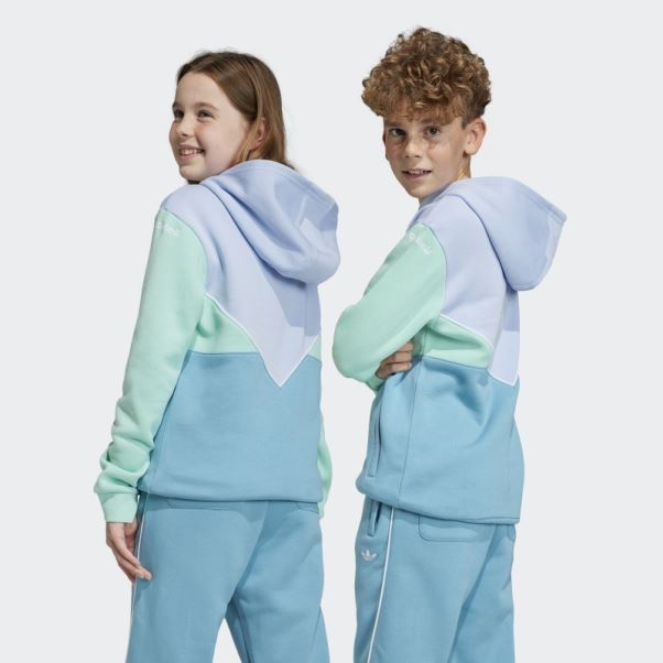 Sweat à Capuche Adidas Adicolor Bleu