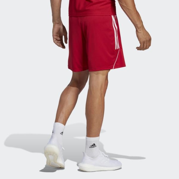 Short Adidas Hot Tiro 23 League Blanc