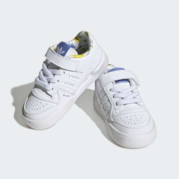 Adidas Forum Low Vert Chaussures Mode