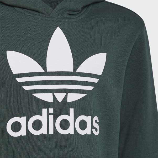 Sweat à Capuche Adidas Trèfle Vert Minéral