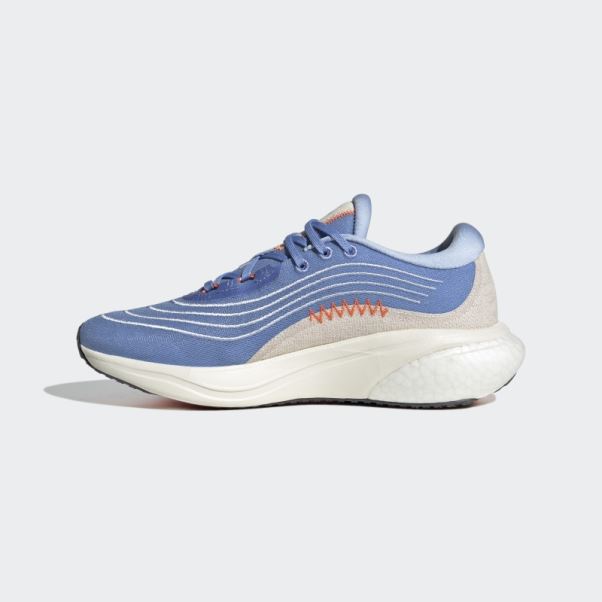 Adidas Supernova 2.0 X Parley Chaussures Bleu