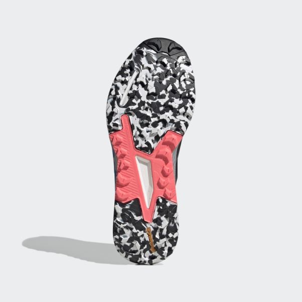 Adidas Terrex Agravic Flow 2.0 Gore-tex Chaussures De Course Sur Sentier Bleu Rush