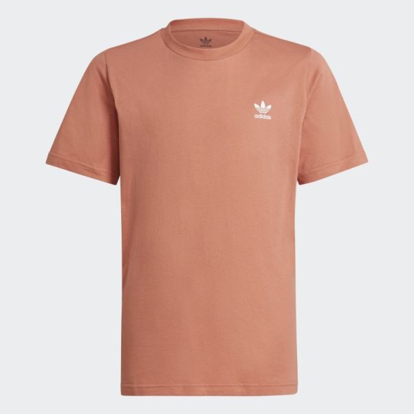 T-shirt Adidas Adicolor Terre