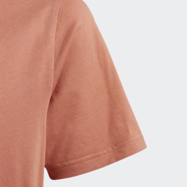 T-shirt Adidas Adicolor Terre