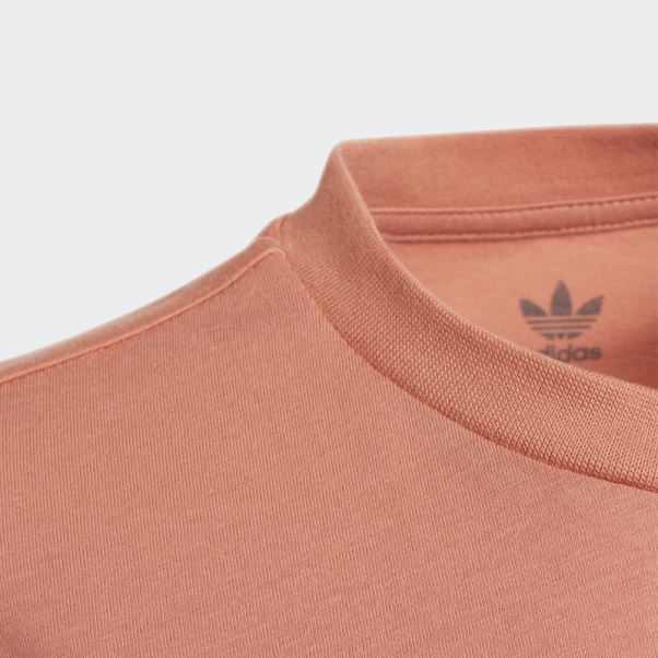 T-shirt Adidas Adicolor Terre