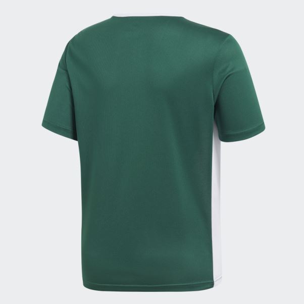 Maillot Adidas Entrada Vert