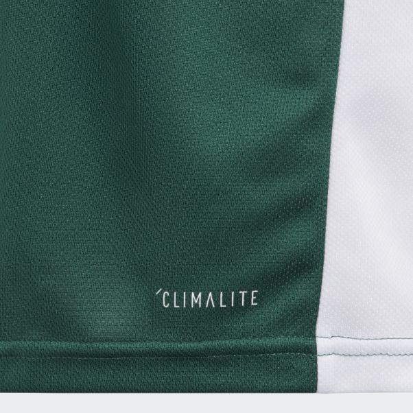 Maillot Adidas Entrada Vert