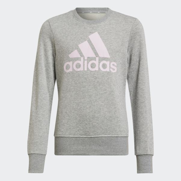Sweat Essentiel Gris Moyen Adidas