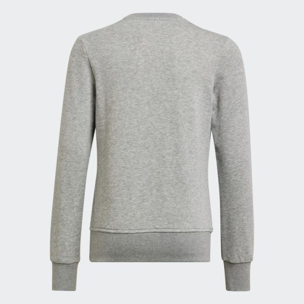 Sweat Essentiel Gris Moyen Adidas